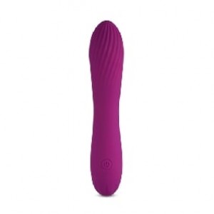 10 Speeds Rechargeable Silicone Purple Vibrator